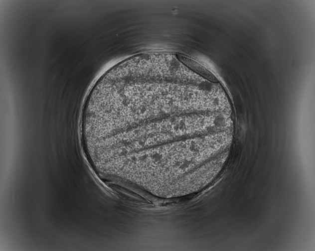 X0000084561195200703231752