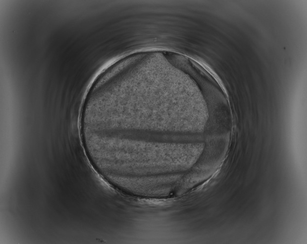 X0000084561197200703231752