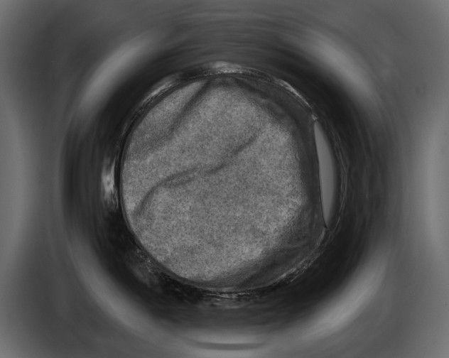 X0000084561198200703231752