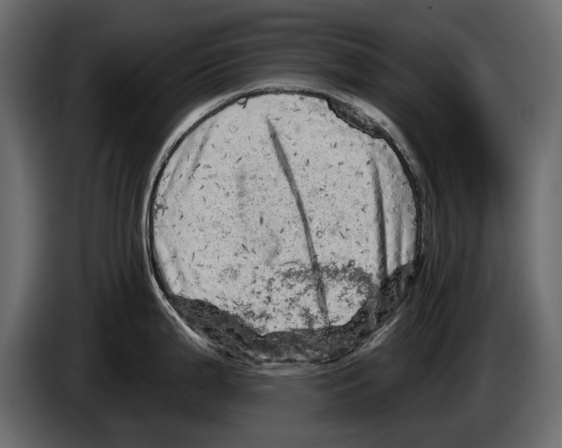 X0000084561199200703231752