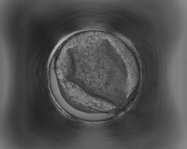 X0000084561200200703231752