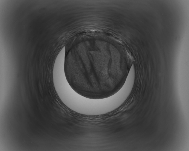 X0000084561202200703231751