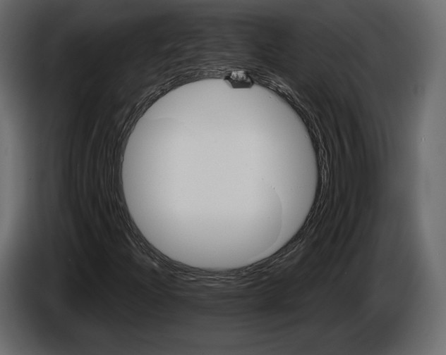 X0000084561204200703231751