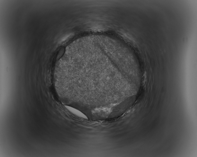 X0000084561205200703231751