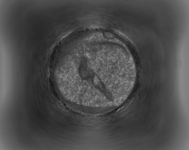 X0000084561207200703231751