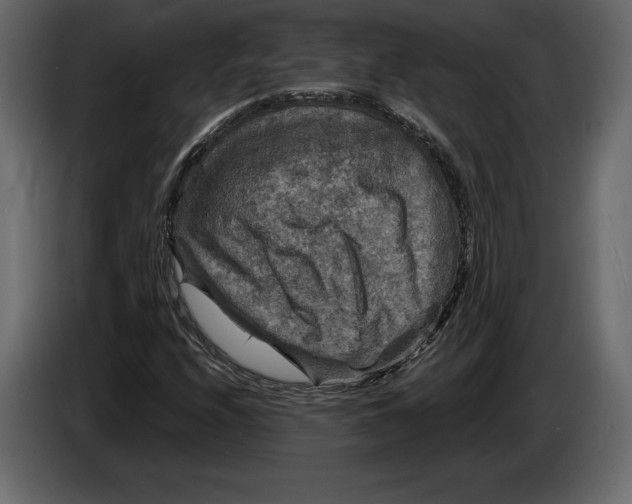 X0000084561208200703231751