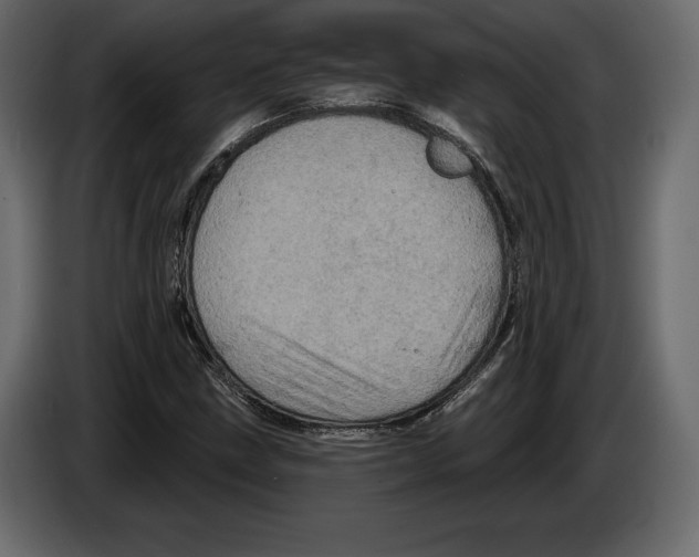 X0000084561211200703231751