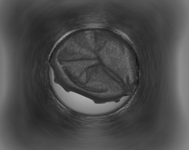 X0000084561212200703231751