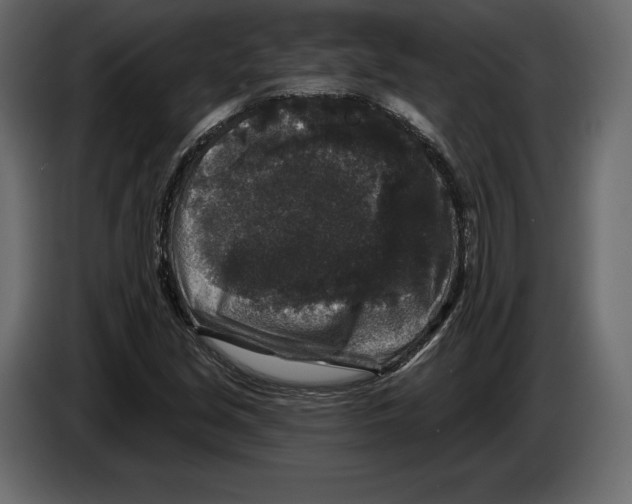 X0000084561213200703231751