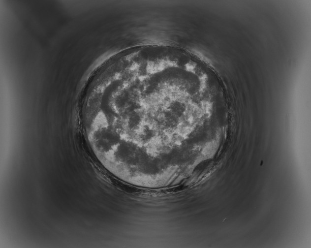 X0000084561215200703231751