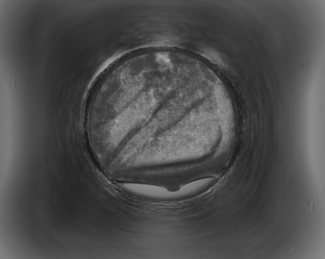 X0000084561216200703231751