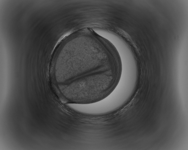 X0000084561218200703231751