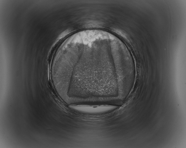 X0000084561219200703231751