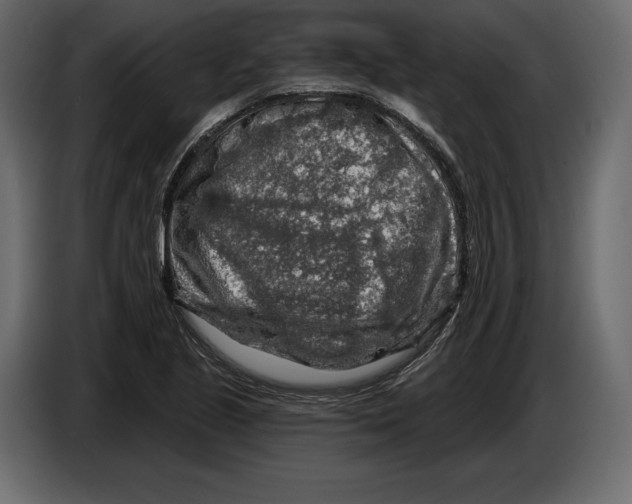 X0000084561221200703231751