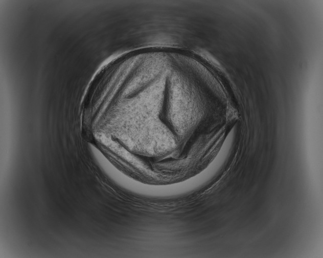 X0000084561222200703231751