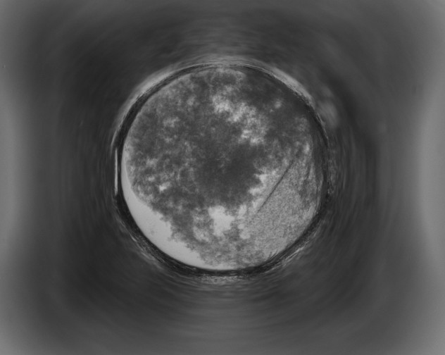 X0000084561223200703231751