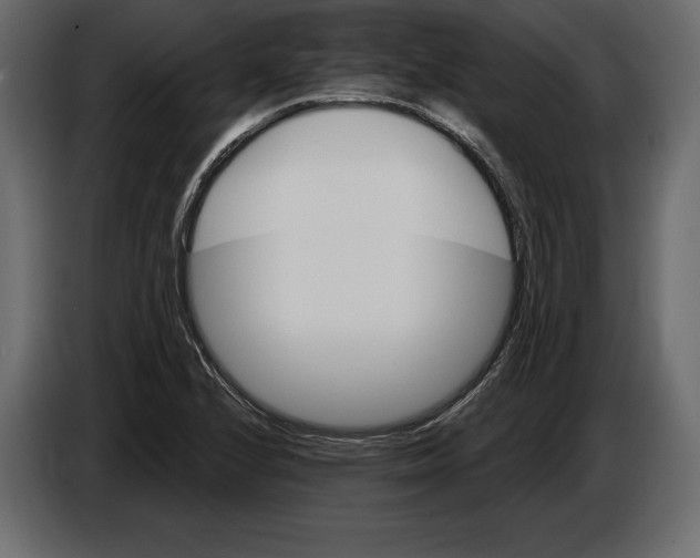 X0000084561224200703231751