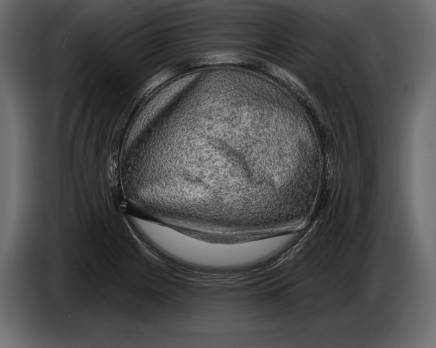 X0000084561225200703231751