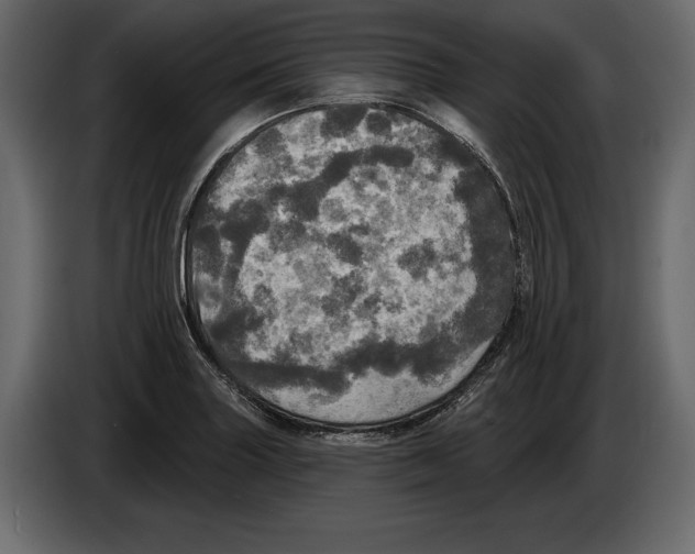 X0000084561227200703231751