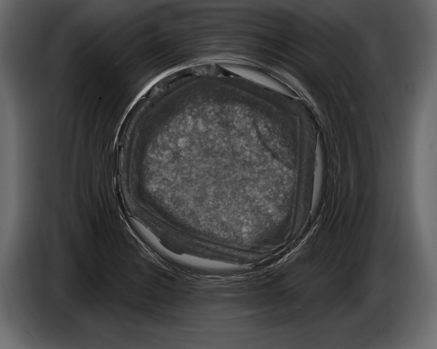 X0000084561228200703231751