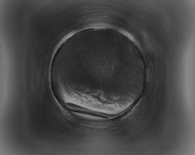 X0000084561229200703231751