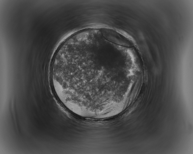 X0000084561231200703231751