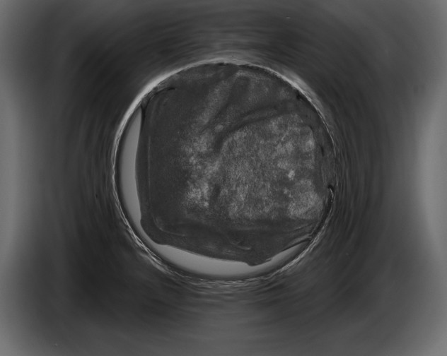 X0000084561232200703231751