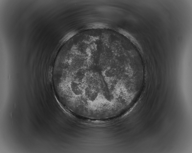 X0000084561233200703231751