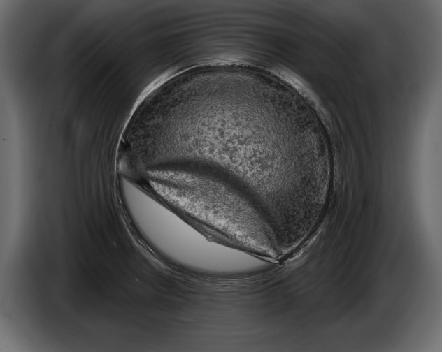 X0000084561234200703231751