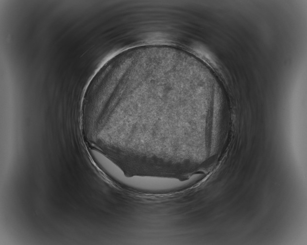 X0000084561236200703231751