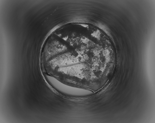 X0000084561237200703231751