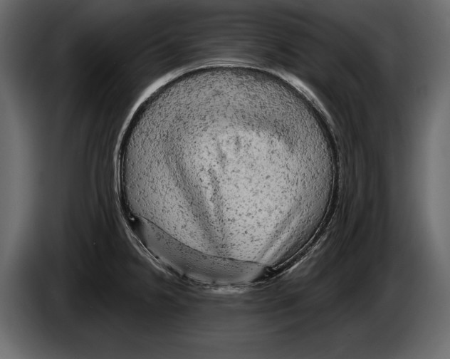 X0000084561238200703231751