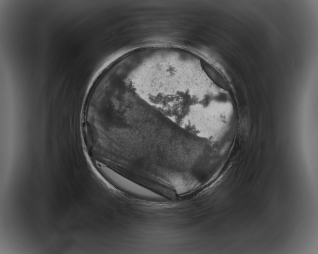 X0000084561239200703231751