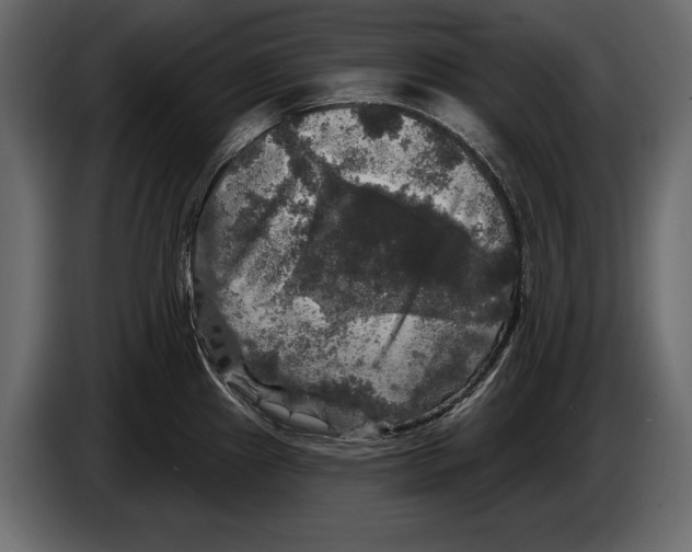 X0000084561241200703231751