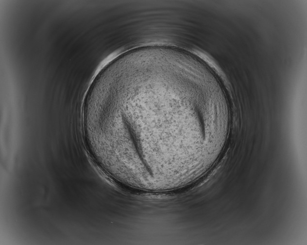 X0000084561242200703231751