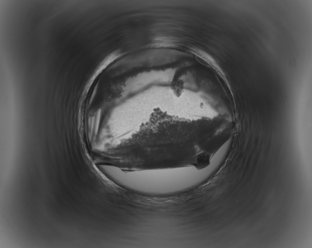 X0000084561243200703231751