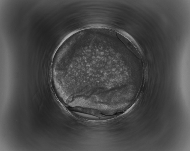 X0000084561244200703231751