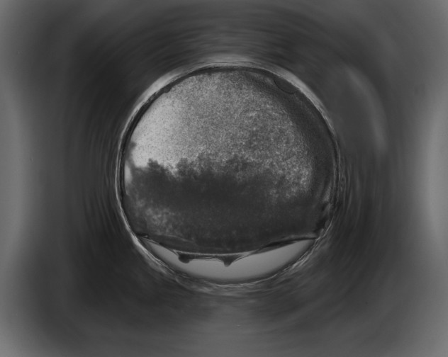 X0000084561245200703231752