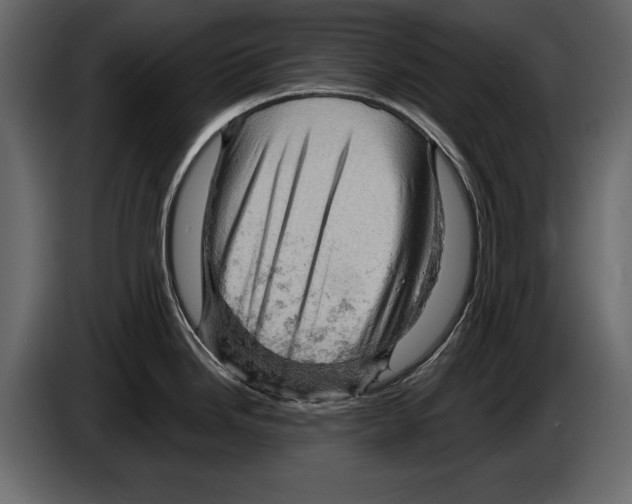 X0000084561246200703231752