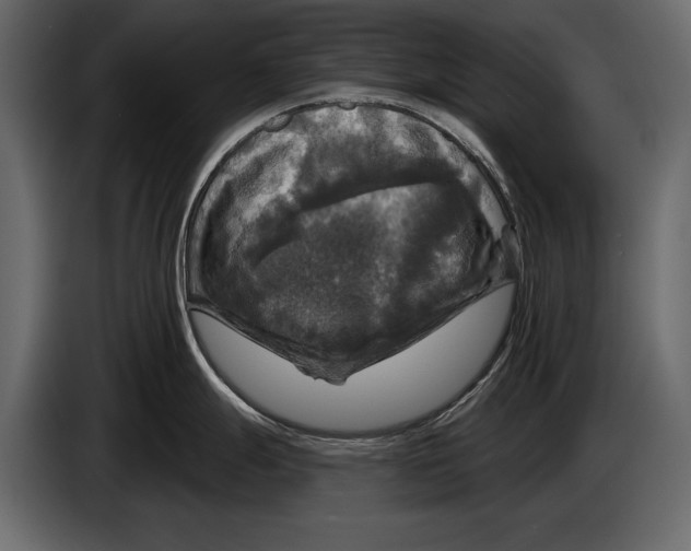 X0000084561247200703231752