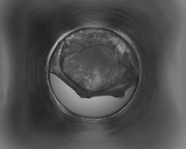 X0000084561248200703231752