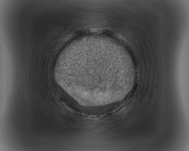 X0000084561249200703231751