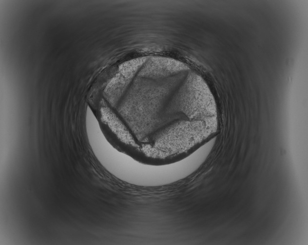 X0000084561250200703231751