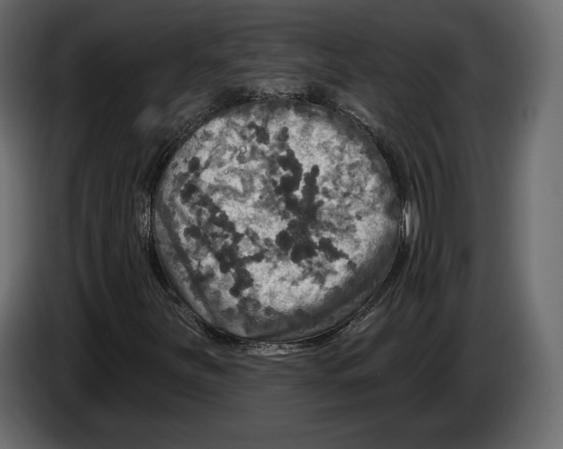 X0000084561251200703231751