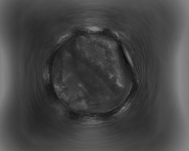 X0000084561252200703231751