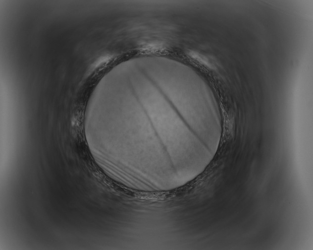 X0000084561254200703231751