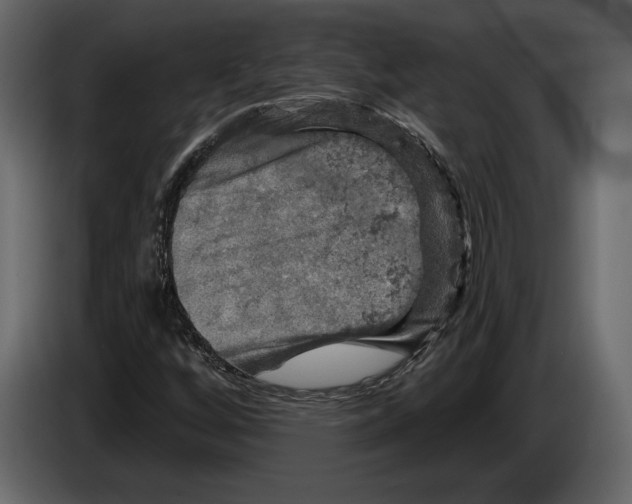 X0000084561256200703231751