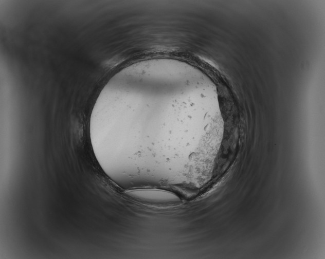 X0000084561257200703231751