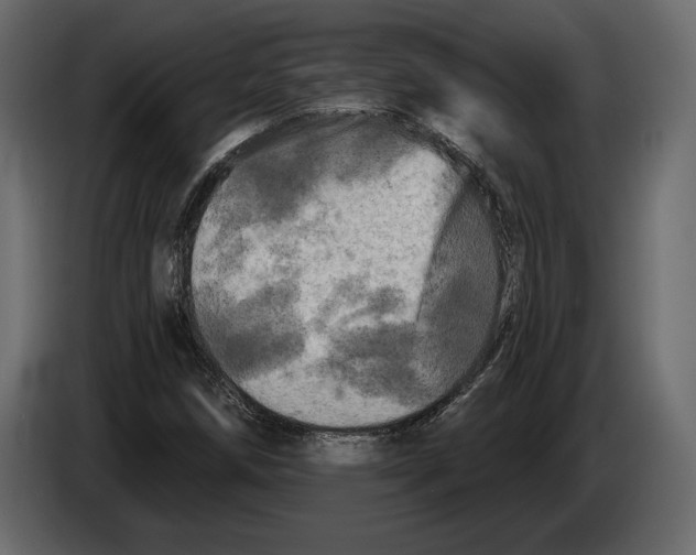 X0000084561258200703231751