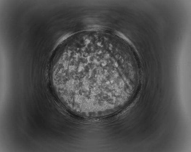 X0000084561259200703231751